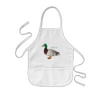 Mallard duck cartoon illustration