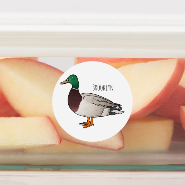 Mallard duck cartoon illustration labels (Affixed)