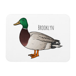 Mallard duck cartoon illustration  magnet