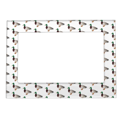 Mallard duck cartoon illustration   magnetic frame