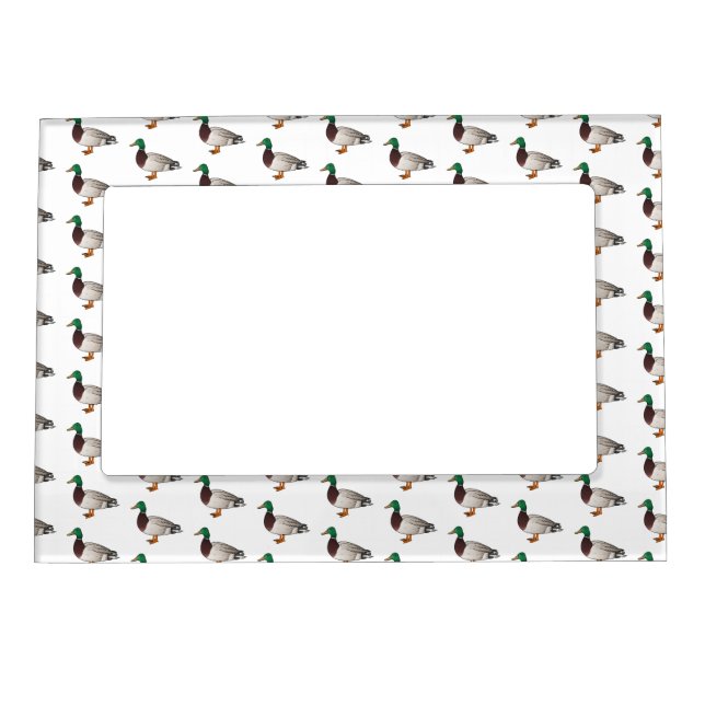Mallard duck cartoon illustration   magnetic frame (Front)