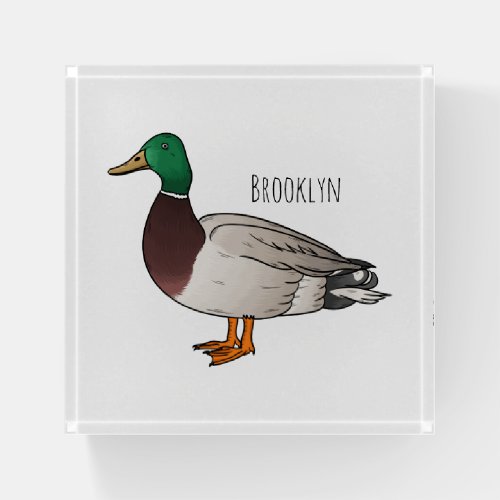 Mallard duck cartoon illustration  paperweight