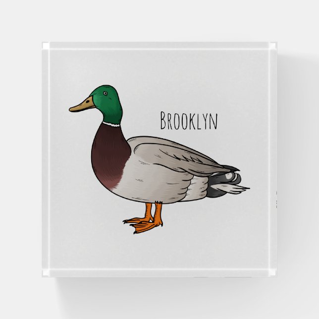 Mallard duck cartoon illustration  paperweight (Front)