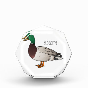 Mallard duck cartoon illustration photo block