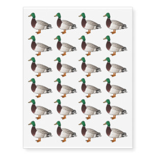 Mallard duck cartoon illustration  temporary tattoos