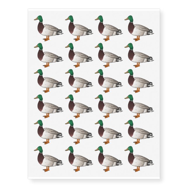 Mallard duck cartoon illustration  temporary tattoos (Front)