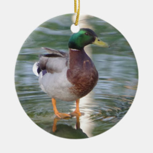 Mallard Duck Ceramic Ornament