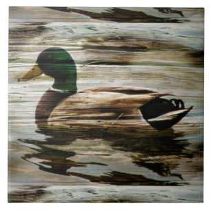Mallard Duck Ceramic Tile