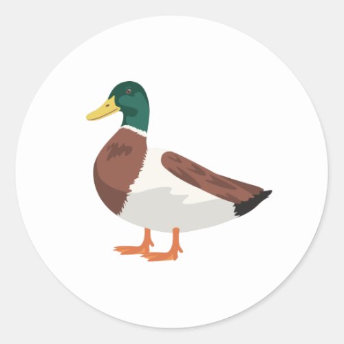 Mallard Duck Classic Round Sticker