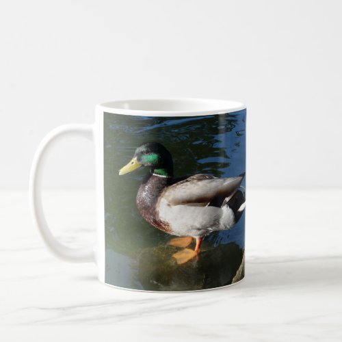 Mallard Duck Coffee Mug