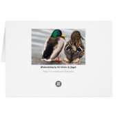 Mallard Duck Couple Card (Back Horizontal)