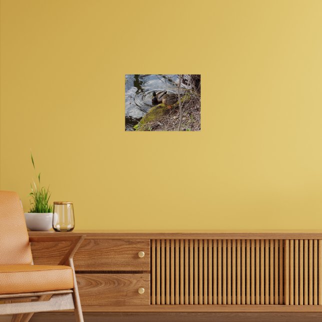 Mallard Duck Couple Taking a Break Poster (Living Room 2)