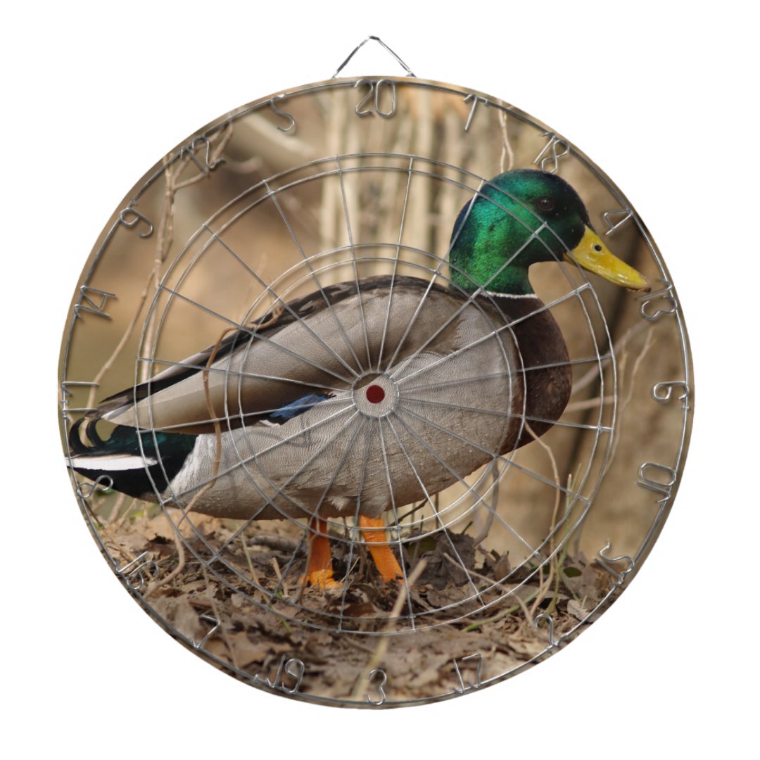 Mallard Duck Dart Board Special Zazzle