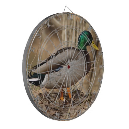 Mallard Duck Dart Board Special Zazzle