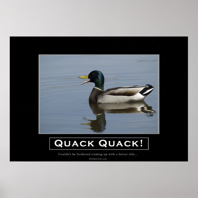 Mallard Duck Demotivational Poster (Front)