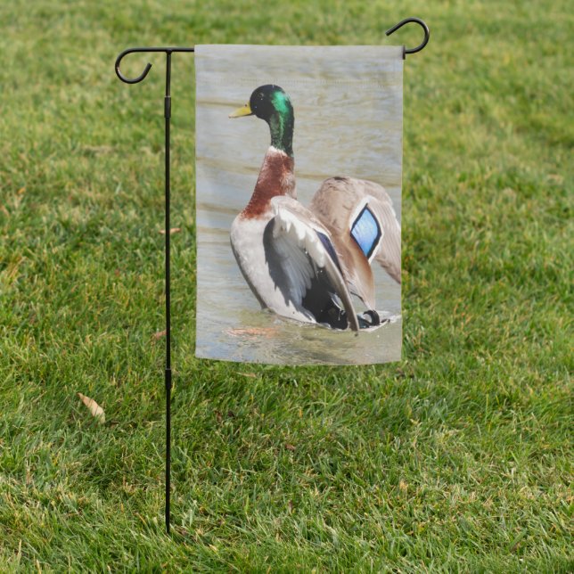 Mallard Duck Diamond Garden Flag (In SItu)