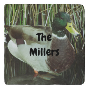 Mallard Duck Distinctive Lake Wildlife Male Bird Trivet