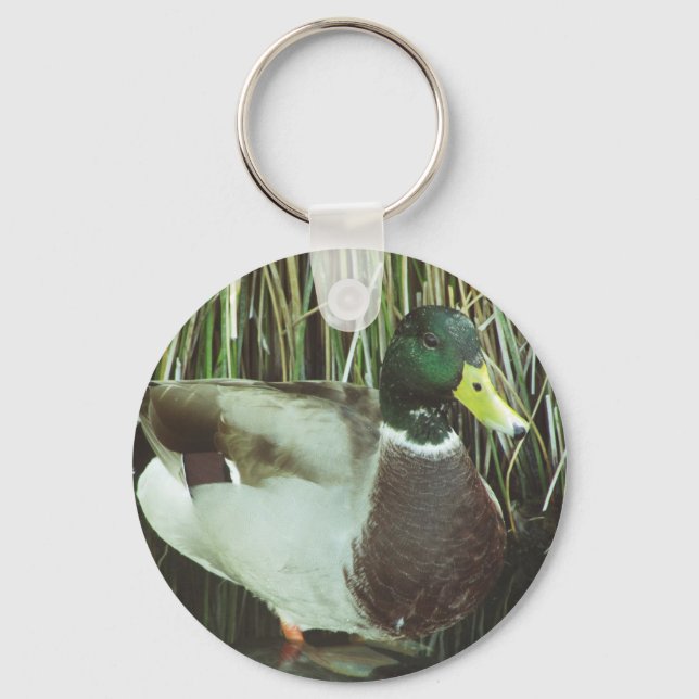 Mallard Duck Distinctive Male Bird Photo Nature Keychain (Front)