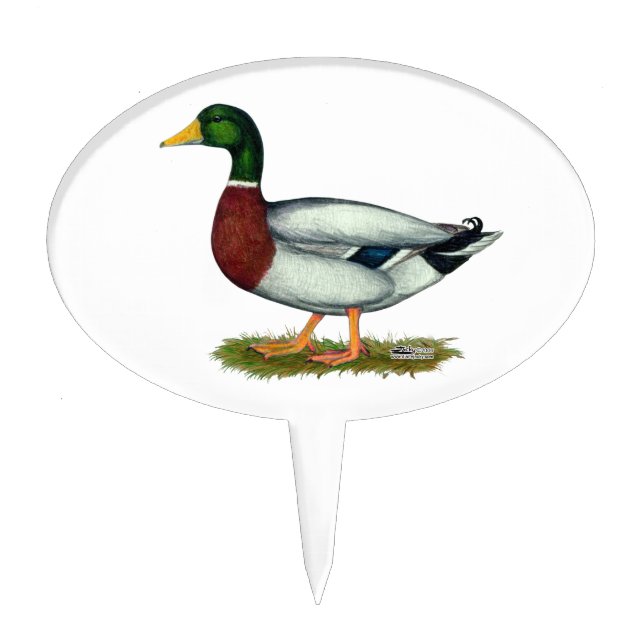 Mallard Duck Drake Cake Topper (Front)