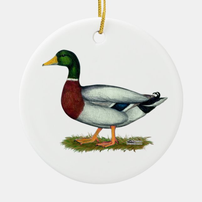 Mallard Duck Drake Ceramic Ornament (Front)