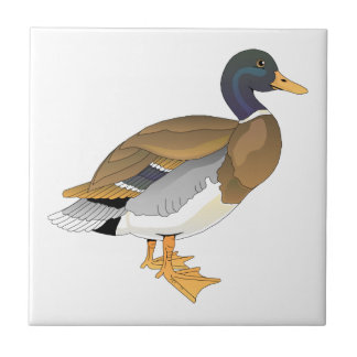 Mallard Duck (Drake) Ceramic Tile