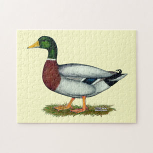 Mallard Duck Drake Jigsaw Puzzle