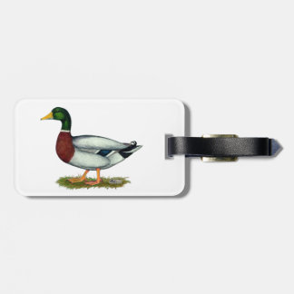 Mallard Duck Drake Luggage Tag