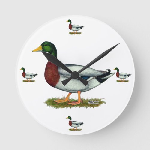Mallard Duck Drake Round Clock