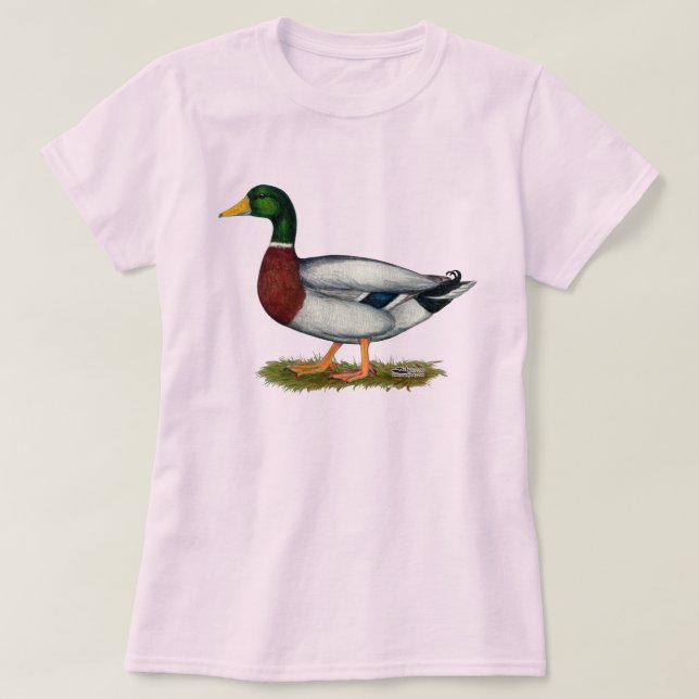 Mallard Duck Drake T-Shirt (Design Front)
