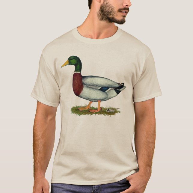 Mallard Duck Drake T-Shirt (Front)