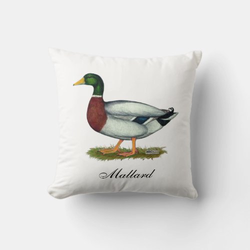 Mallard Duck Drake Throw Pillow