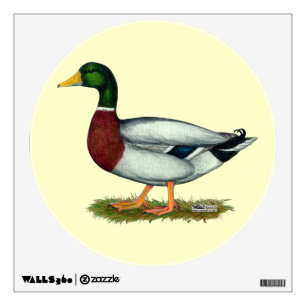 Mallard Duck Drake Wall Decal