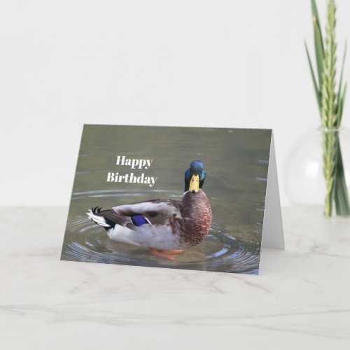 Mallard Duck Drake Water Photo Birthday Card