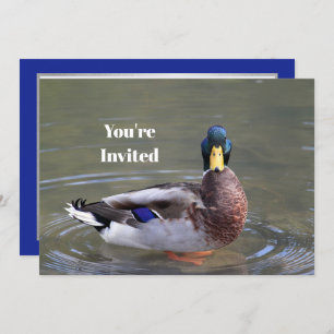 Mallard Duck Drake Water Photo Birthday Invitation
