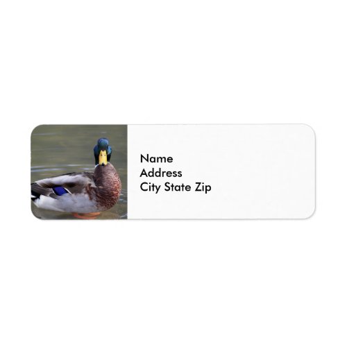 Mallard Duck Drake Water Photo Label