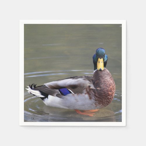 Mallard Duck Drake Water Photo Napkins