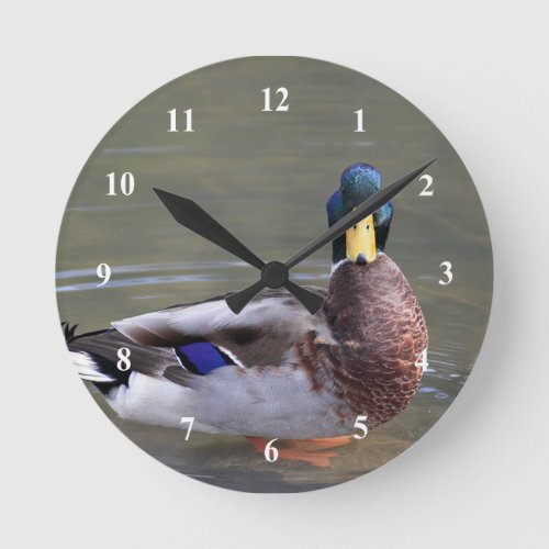 Mallard Duck Drake Water Photo Round Clock