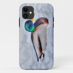Mallard Duck Drake Wildlife Portrait iPhone 11 Case