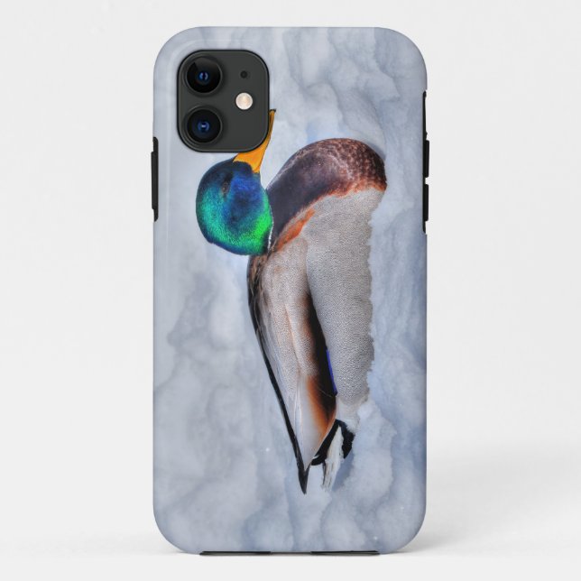 Mallard Duck Drake Wildlife Portrait Case-Mate iPhone Case (Back)