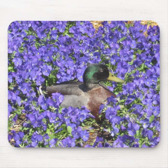 Mallard Duck Enjoying a Bed of Flowers Mousepad (Front)