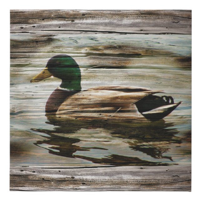 Mallard Duck Faux Canvas Print (Front)