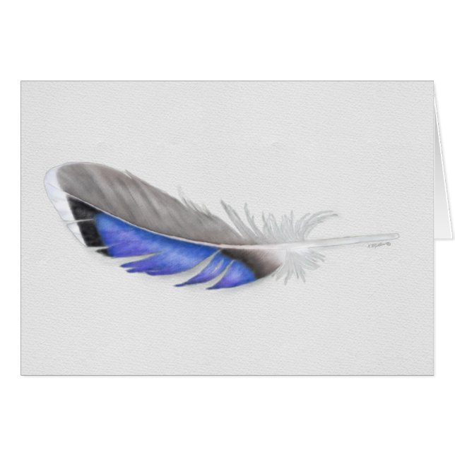 Mallard Duck Feather Watercolor Cards (Front Horizontal)