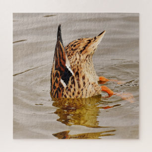 Mallard Duck Feeding Underwater Jigsaw Puzzle