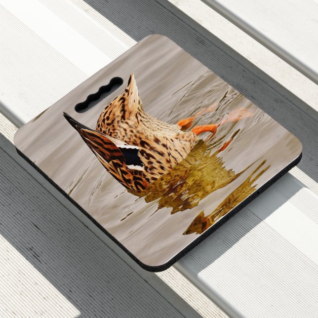 Mallard Duck Feeding Underwater Seat Cushion (In Situ)