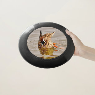 Mallard Duck Feeding Underwater Wham-O Frisbee