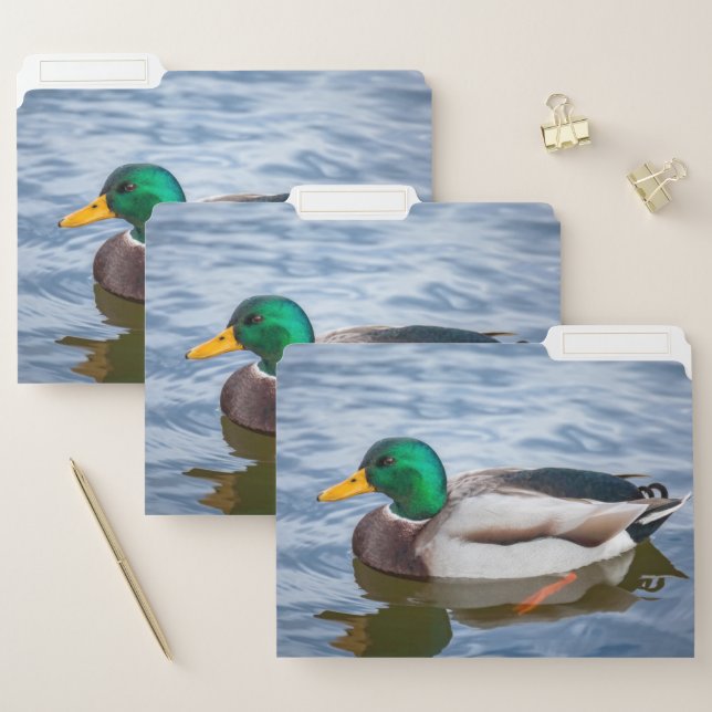 Mallard Duck File Folder (Set)