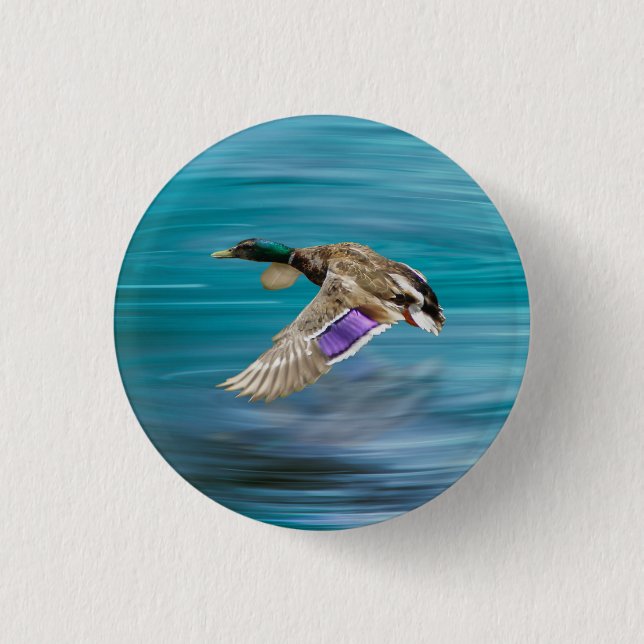 Mallard duck flying button (Front)
