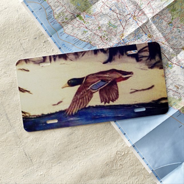 Mallard Duck Flying License Plate (In Situ)