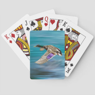 Mallard duck flying poker cards