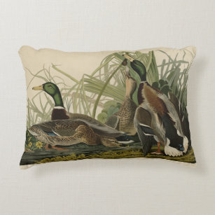 Mallard Duck from Audubon's Birds of America Accent Pillow